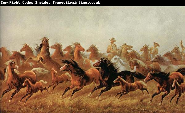James Walker Roping wild horses
